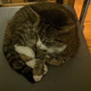 Meet your Posher, Jordan